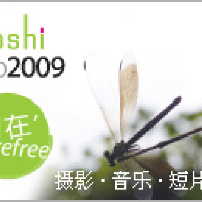 moshicup 原創音樂徵選