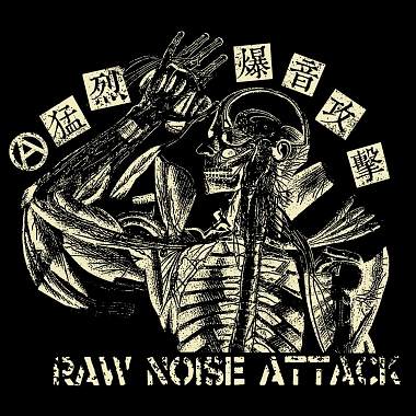 Raw Noise Attack