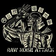 Raw Noise Attack