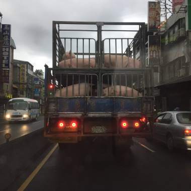 卍超進化人猿卐-好工人