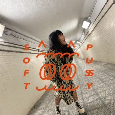 DJ 高小糕
