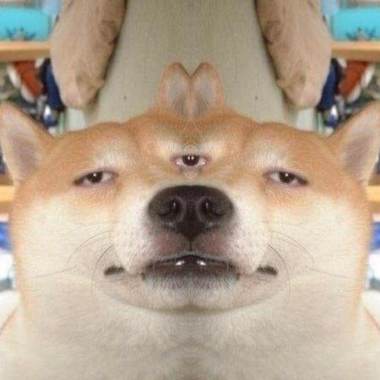 DJ 理化兄弟