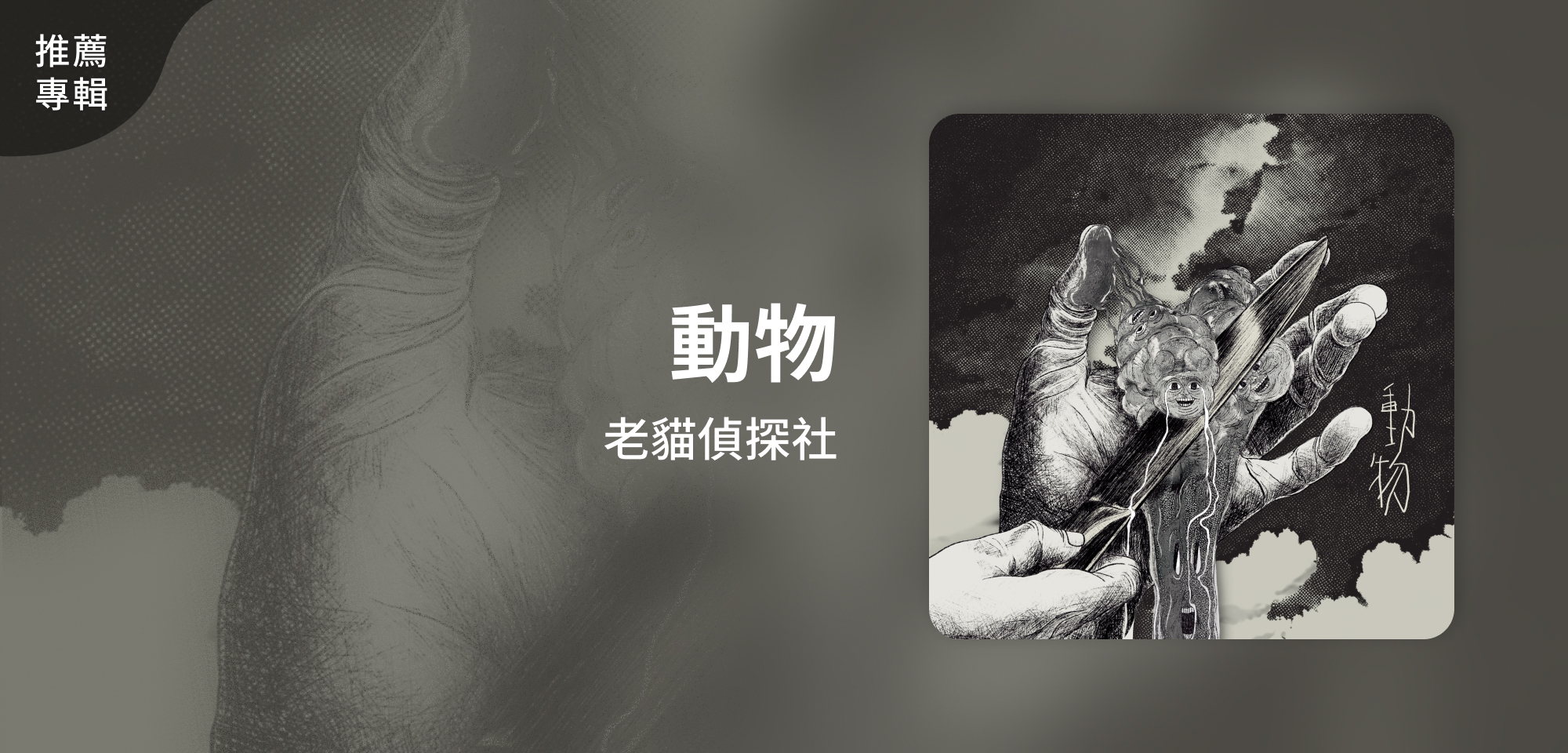 推薦專輯＿老貓偵探社＿動物