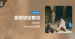 新歌搶聽＿Theseus忒修斯＿莫閣想遐爾濟（DEMO)