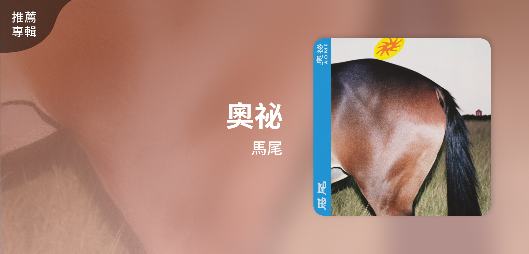 推薦專輯＿馬尾＿奧祕