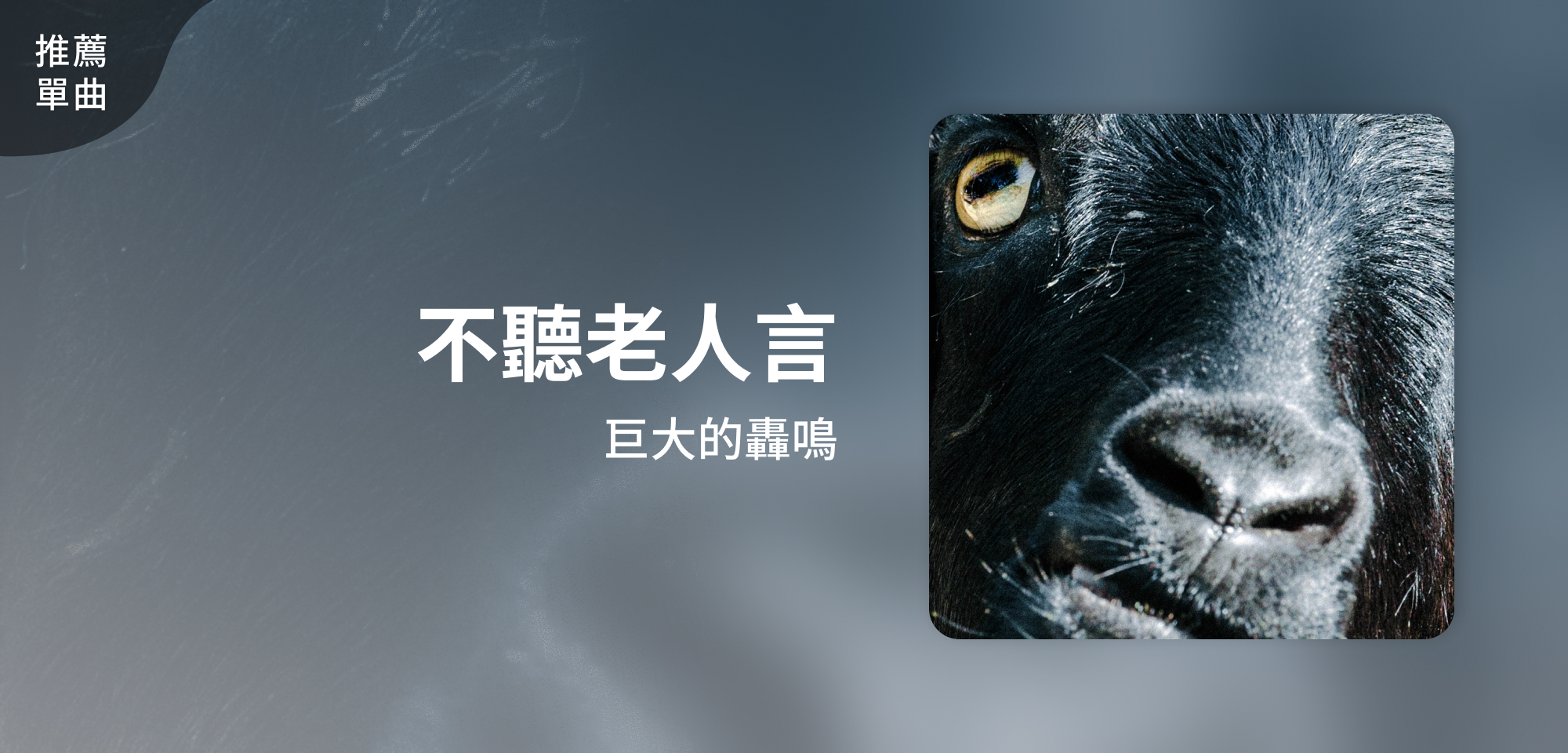 推薦單曲＿ 巨大的轟鳴＿不聽老人言