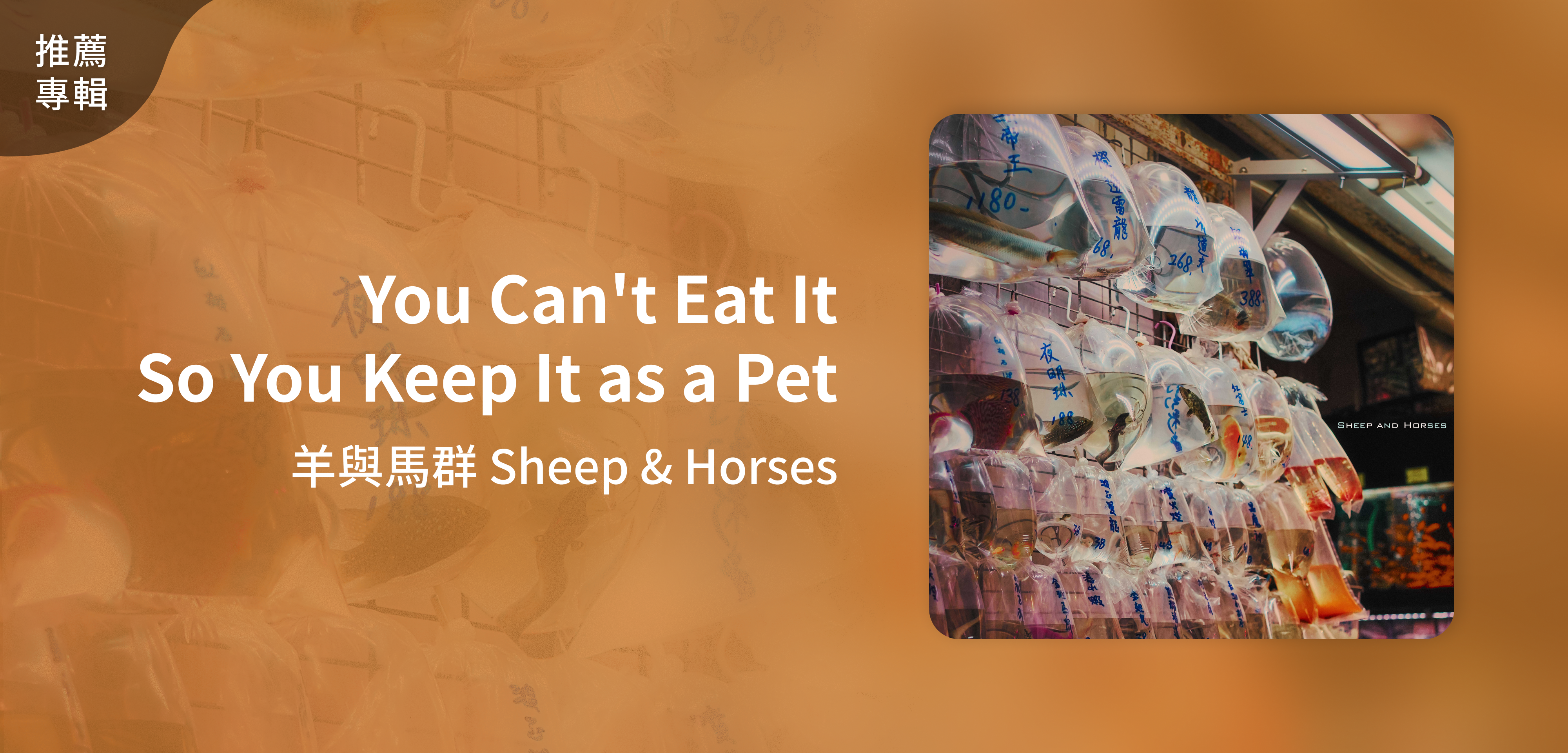 推薦專輯＿羊與馬群 Sheep & Horses＿You Can't Eat It So You Keep It as a Pet