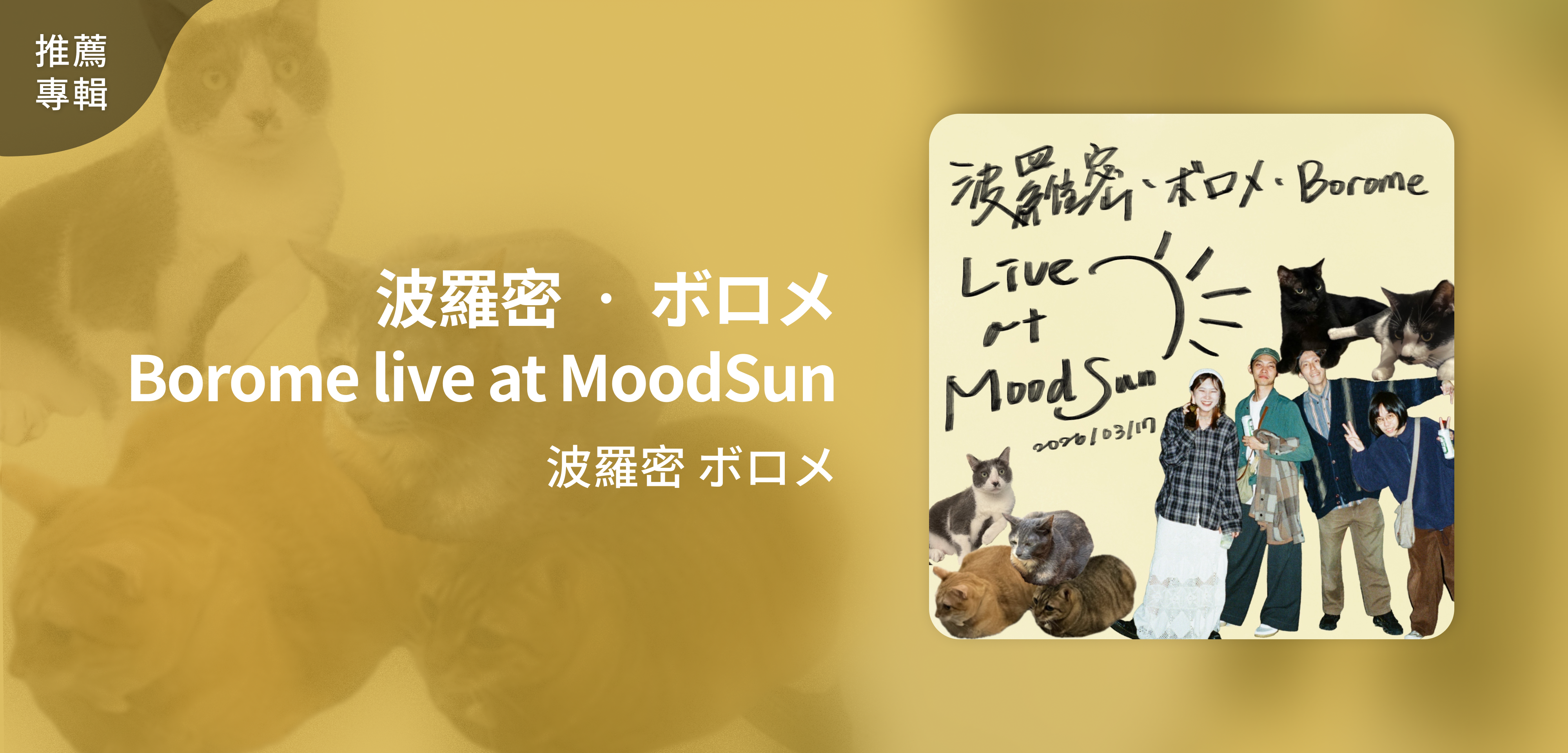 推薦專輯＿波羅密 ボロメ＿波羅密 • ボロメ • Borome live at MoodSun