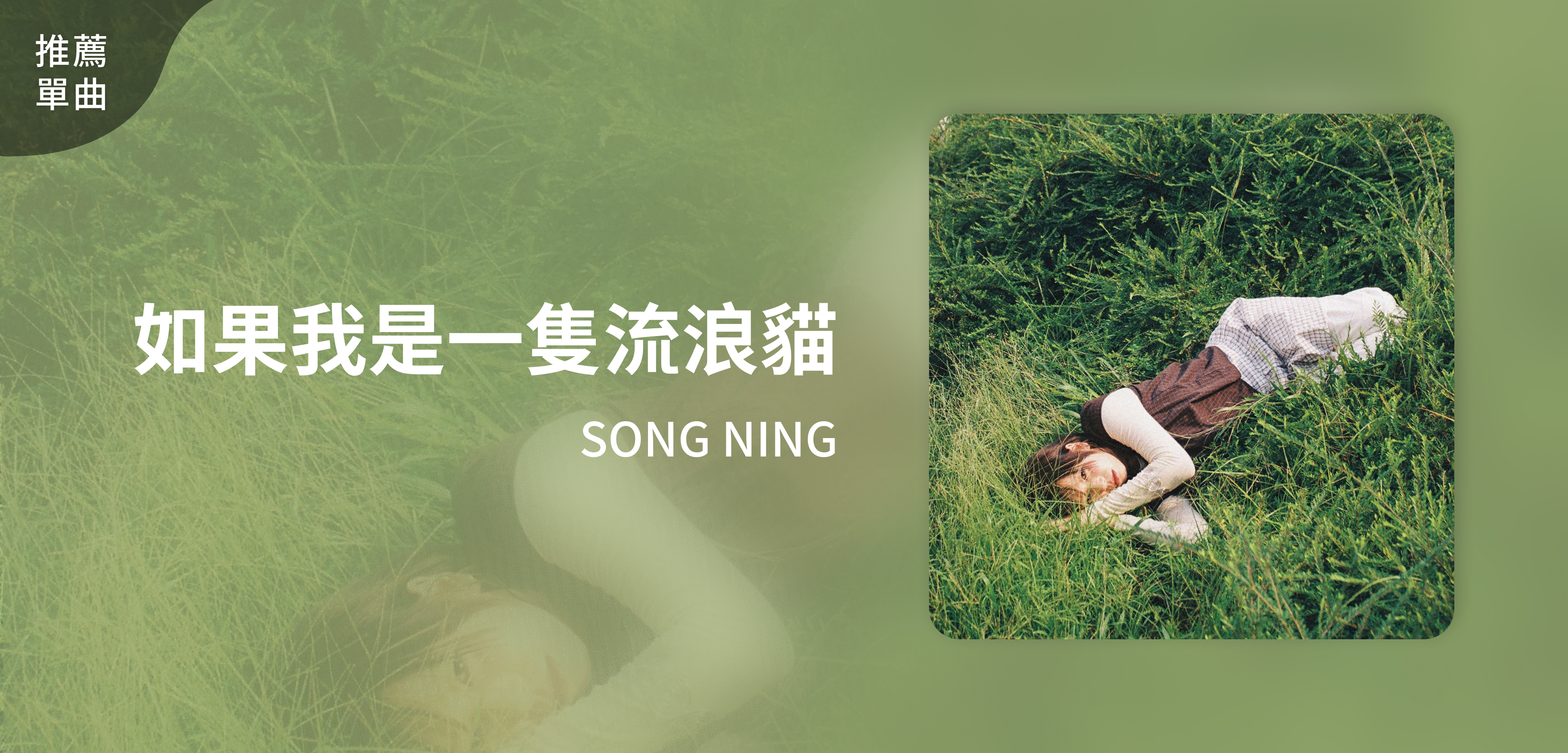 推薦單曲＿SONG NING＿如果我是一隻流浪貓