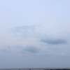 情有独钟