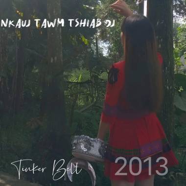 Nkauj tawm tshiab DJ2013