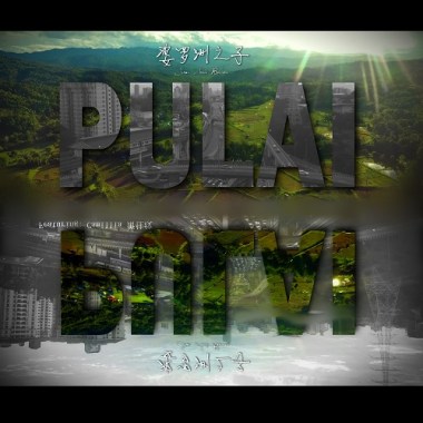 Pulai