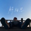 解相思