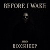 Before I Wake