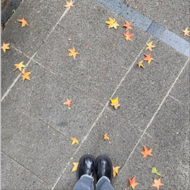 「 日記裡的獨白，關於愛情 」