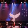 10 熄燈之後的城市 Meteoric Night