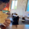 動物系列