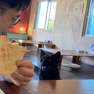 動物系列