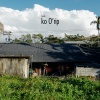 o Kayoing no Amis(阿美女孩)