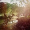 主恩典。20160331
