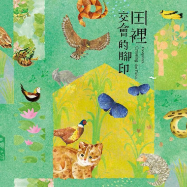 《田裡交會的腳印——綠色保育十五週年特展》