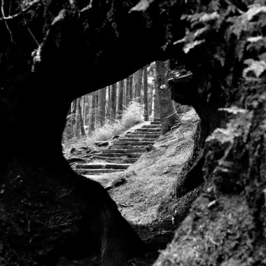 Ambient Collection