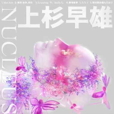 核 Nucleus