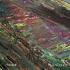07.莘卡 Sinka(Feat. Zhang Yang)