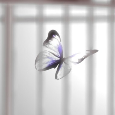 《 芒果街老爸 - Caged Butterfly 》( Mango Street Papa - Caged Butterfly )