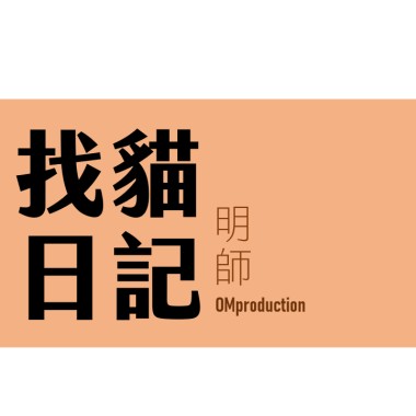 找貓日記