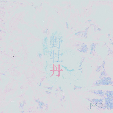 野牡丹