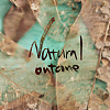 Natural Outcome 同名 1st EP
