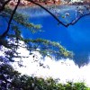 Tranquillity and Freedom