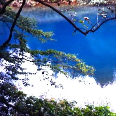 Tranquillity and Freedom