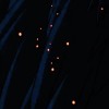星火燎原