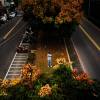 BUSYCITY