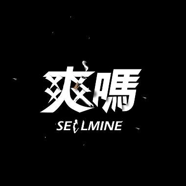 2017 SellMine Mini Album