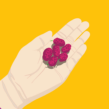 Demo合輯 x Raspberries