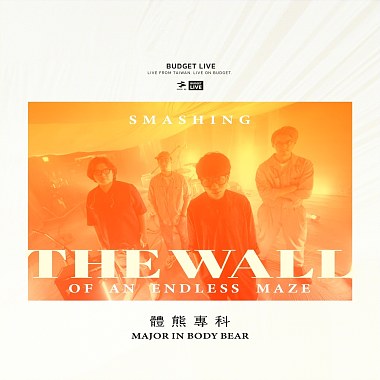 Smashing the wall of an endless maze｜預算限場