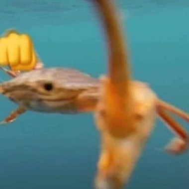 同意到不能再同意