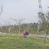 B32_巴洛克黑人