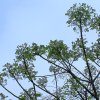 B85_湖邊