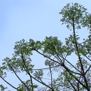 B80_曾經的快樂