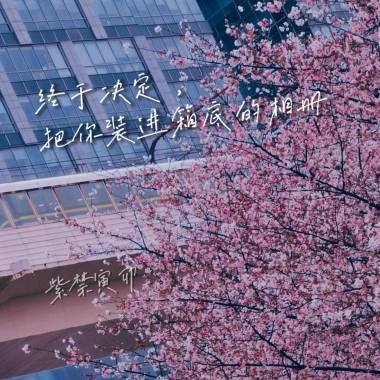 用执念折成的纸鸢