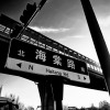 海棠路的黄昏