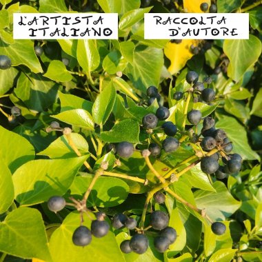 Raccolta d'Autore