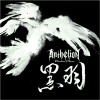 黑羽