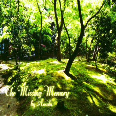 The Missing Memory