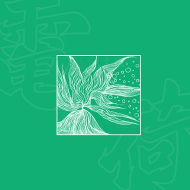電荷Electronic Lotus