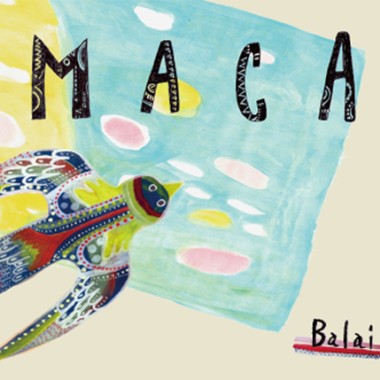 MACA－眼睛